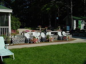 The beach area, lawn and porches